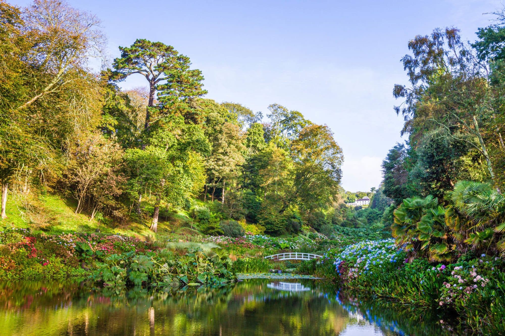 Trebah Garden